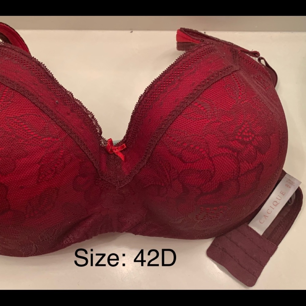 Lane Bryant bra, balconette
